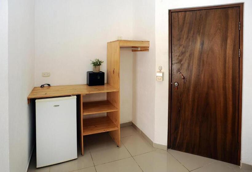 スーペリアールーム, Wide Mouth Frog Quepos