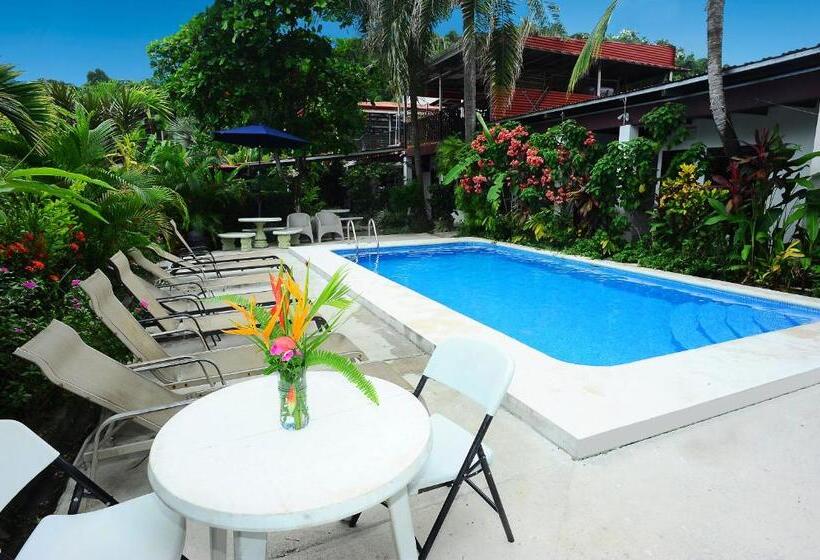 ファミリールーム, Wide Mouth Frog Quepos