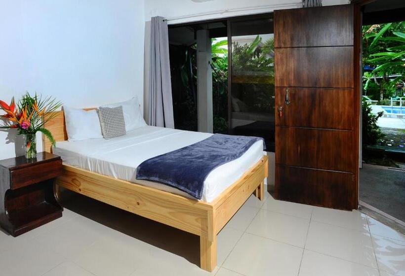 ファミリールーム, Wide Mouth Frog Quepos