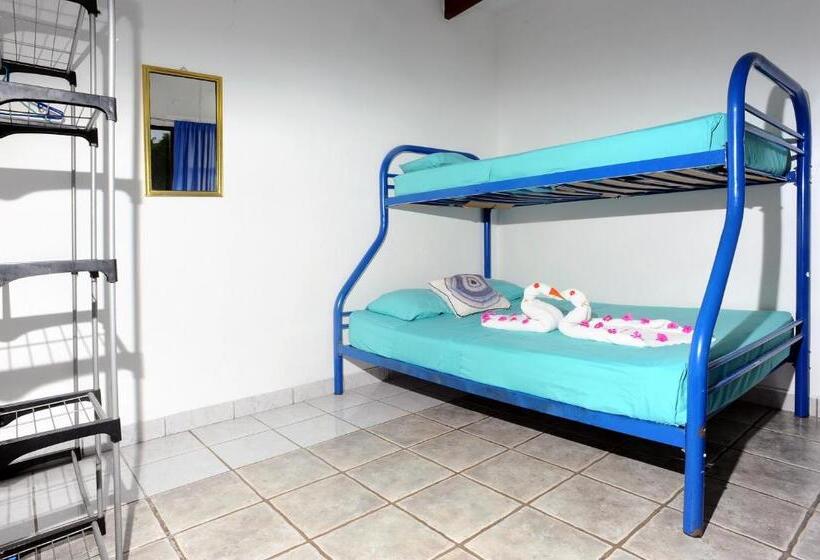 バス共有のスタンダードルーム, Wide Mouth Frog Quepos