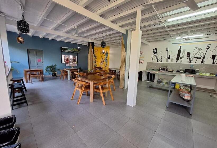 浴室共有スタンダード４人用ルーム, Wide Mouth Frog Quepos