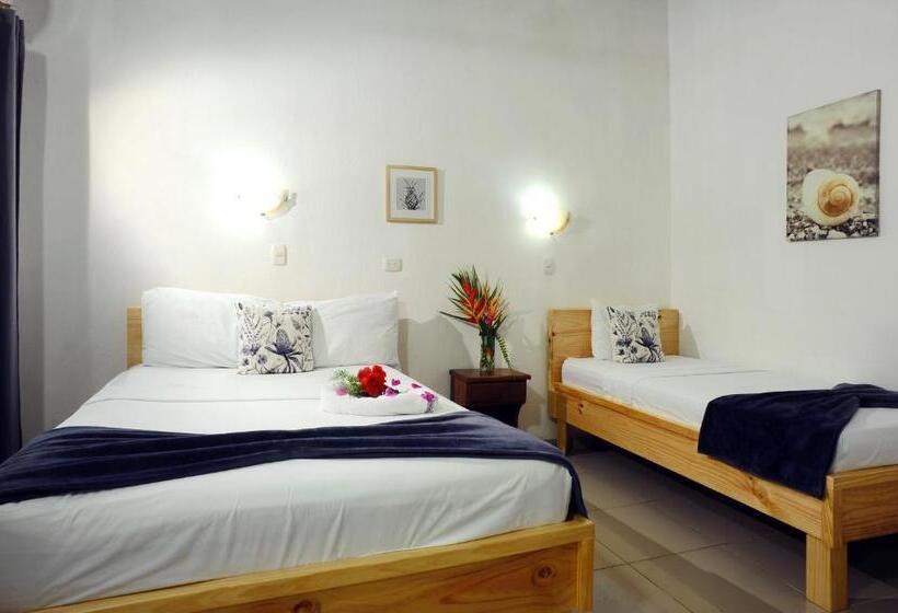 スーペリアールーム, Wide Mouth Frog Quepos