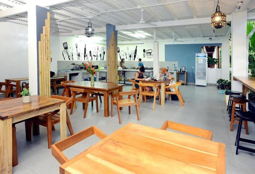 ２ベッドルームアパートメント, Wide Mouth Frog Quepos