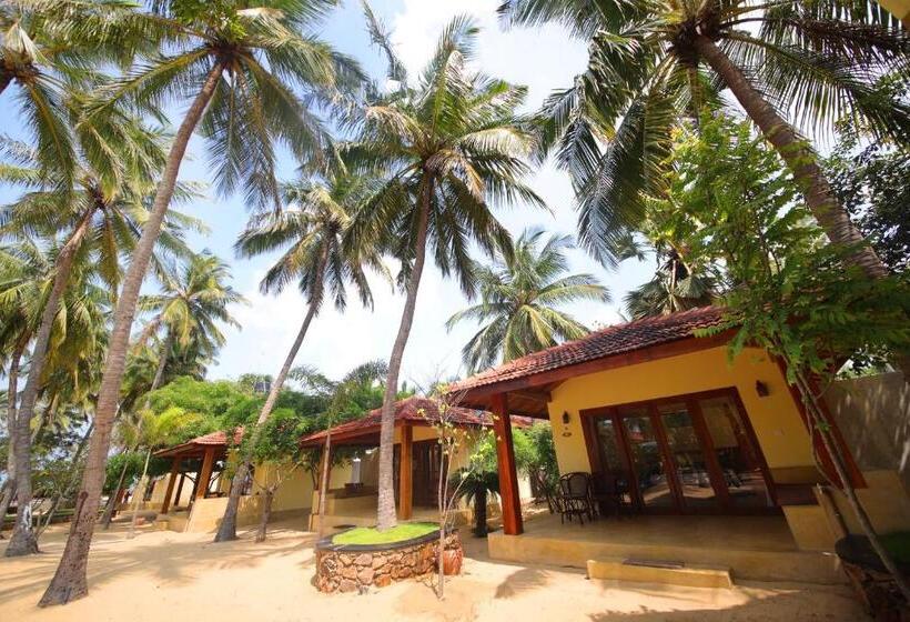 اتاق لوکس, Horizon Kitesurfing Beach Resort