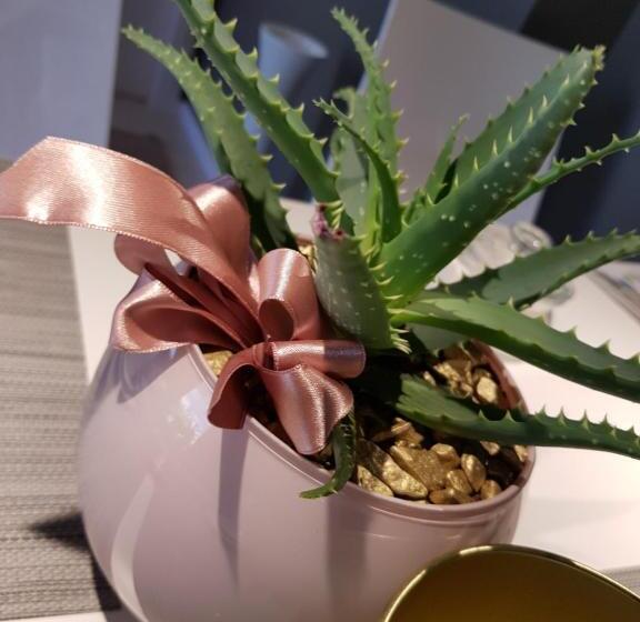 جناح جونيور مزوَّد بشرفة, Art B&b Design