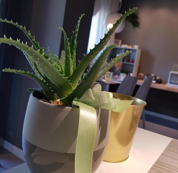 주니어 스위트 발코니, Art B&b Design