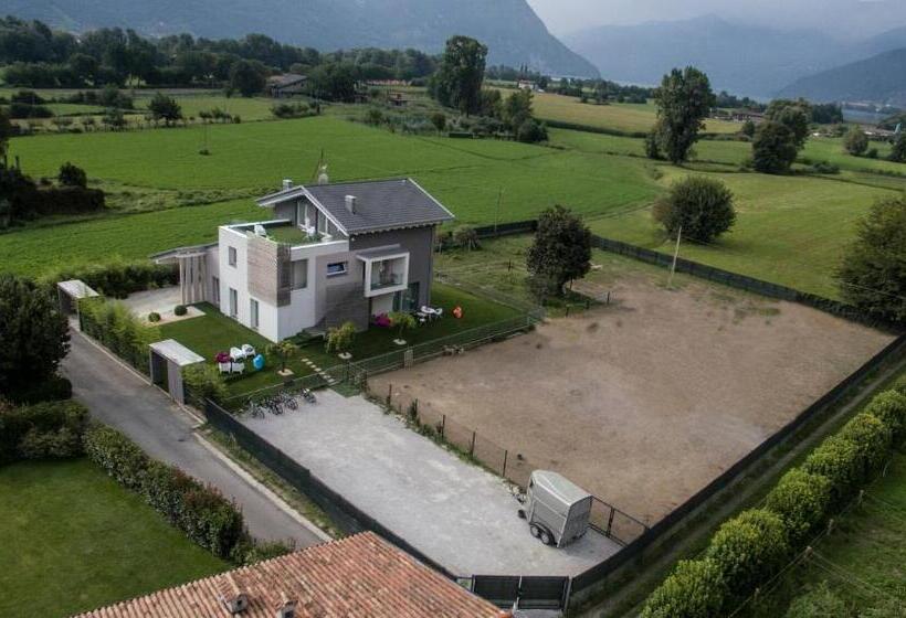 جناح جونيور مزوَّد بشرفة, Art B&b Design