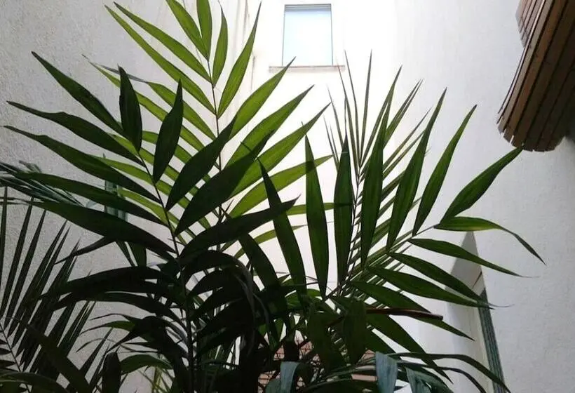 Classic Kolmen Hengen Huone, Habitacions Sant Pere Claver