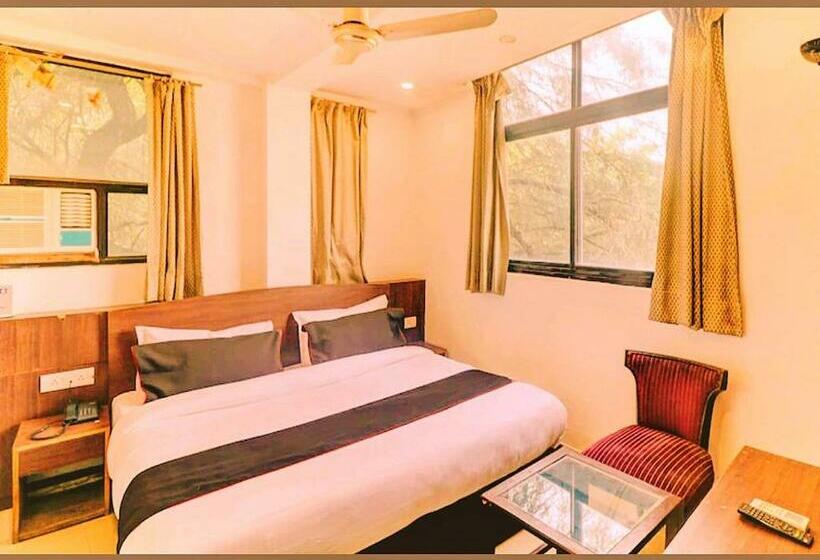 豪华房间, Aravali Inn