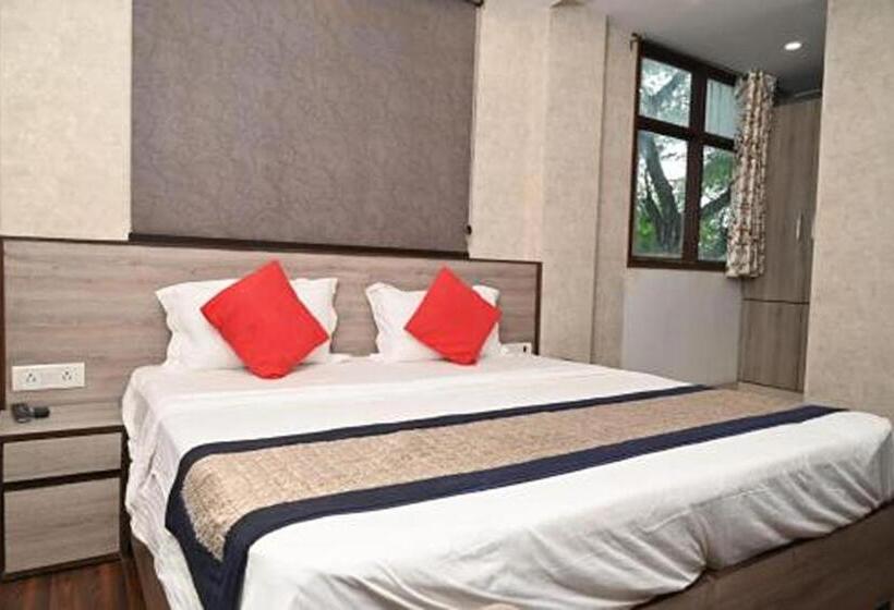 带大床的高级房间, Aravali Inn