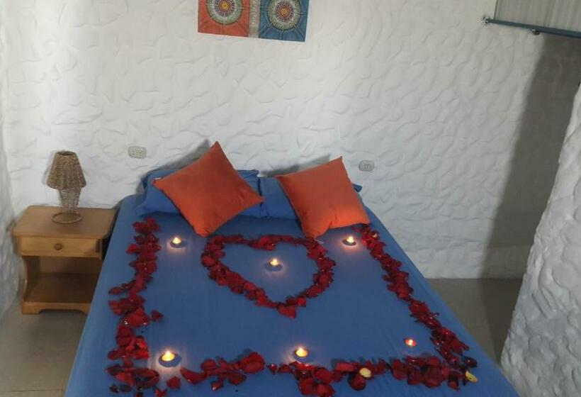 Полулюкс Одноместный с Террасой, Bluebeach