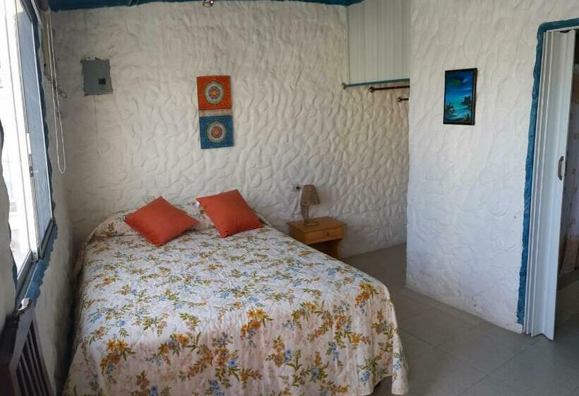 Полулюкс Одноместный с Террасой, Bluebeach