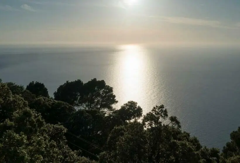 Superior Zimmer mit Meerblick, Bordoy Continental Valldemossa
