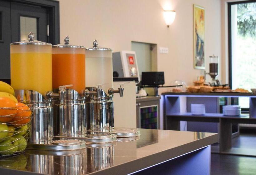 اتاق استاندارد با تراس, Parkhotel Carlsbad Inn