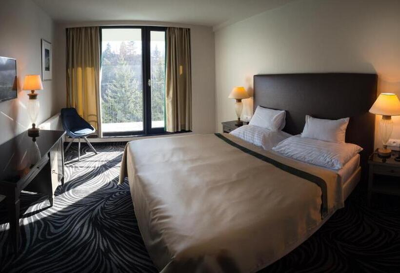 اتاق استاندارد با تراس, Parkhotel Carlsbad Inn