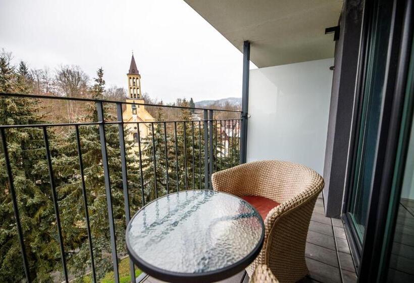 اتاق استاندارد با تراس, Parkhotel Carlsbad Inn