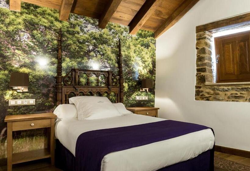 غرفة قياسية, Pazo Da Pena Manzaneda