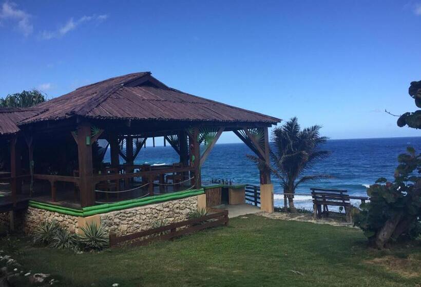 اتاق استاندارد با چشم‌انداز دریا, The Sea Cliff Hotel Resort & Spa