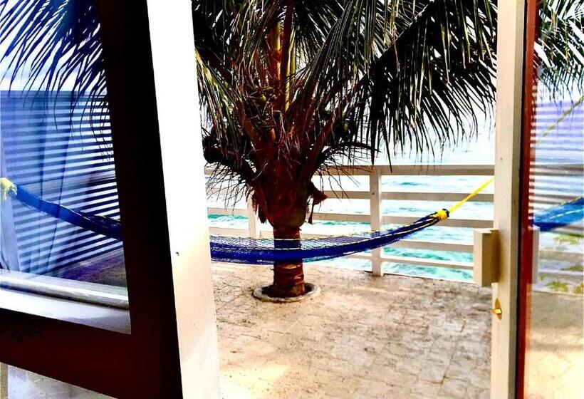 اتاق استاندارد با تخت بزرگ, The Sea Cliff Hotel Resort & Spa