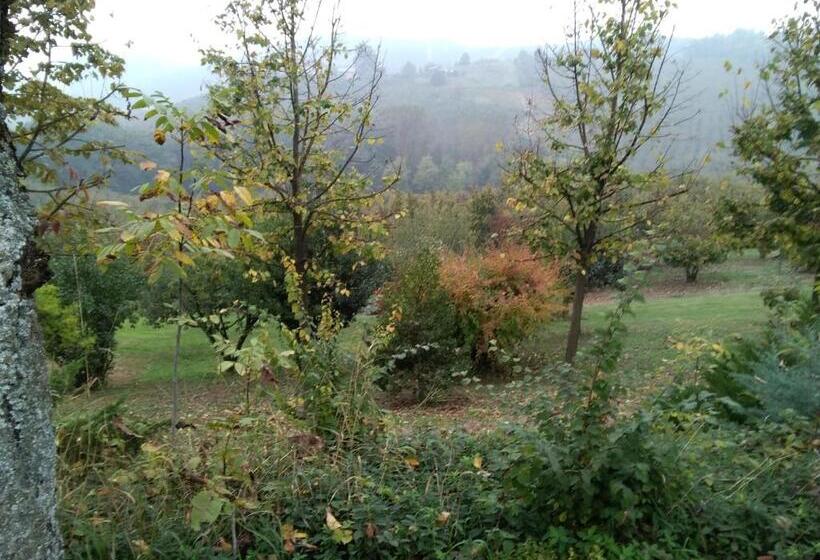 اتاق لوکس, Cascina Baresane