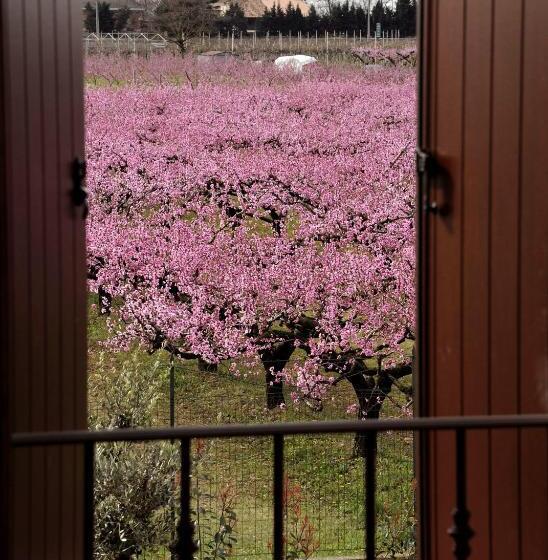 标准间, Corte Caselle