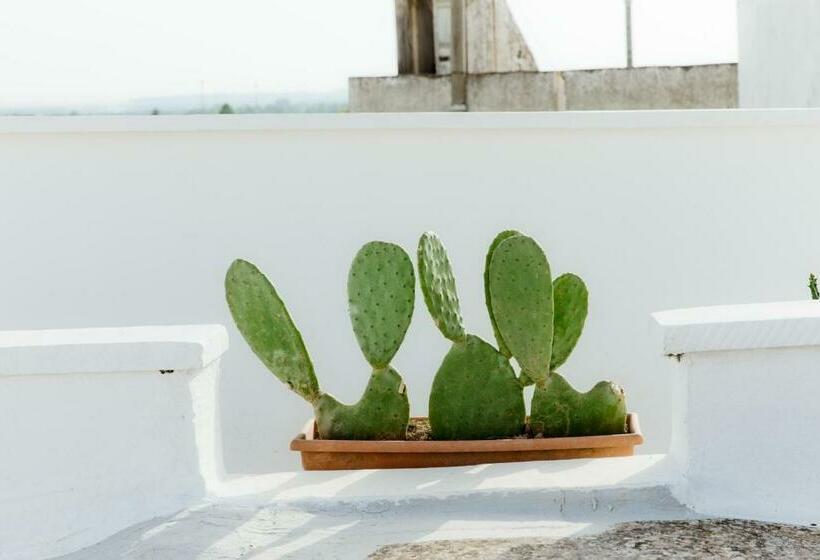 غرفة قياسية, La Loggetta