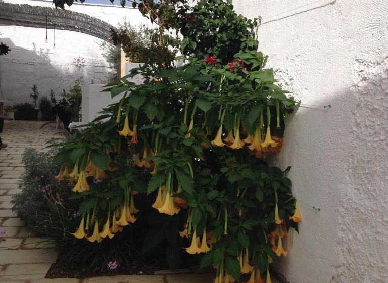 غرفة قياسية مزوَّدة بتراس, La Loggetta