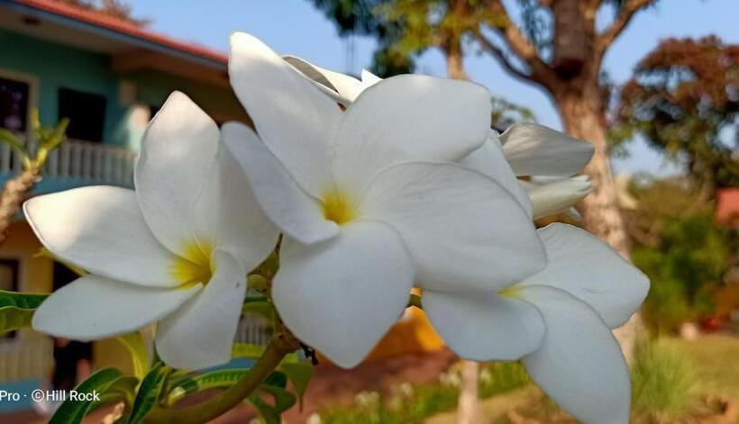 豪华海景房带阳台, Hill Rock