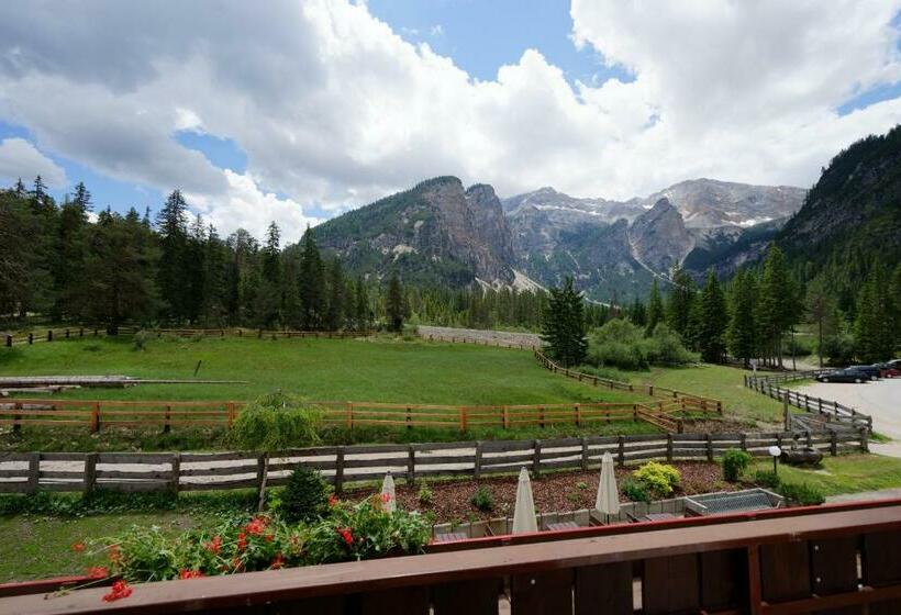 스탠다드 룸, Alpin Natur Hotel Brückele