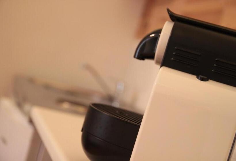 带花园景观的标准工作室, Chalet 1897