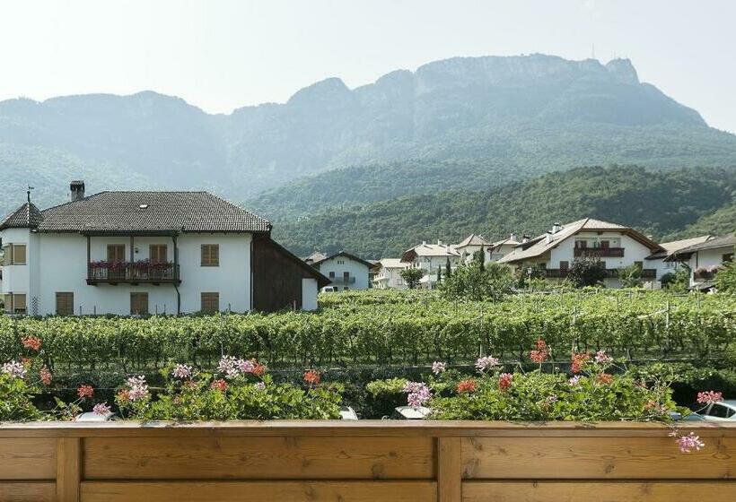 חדר סטנדרט יחיד, Torgglhof