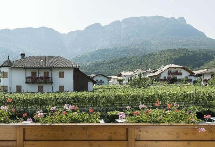 חדר סטנדרט נוף להרים, Torgglhof