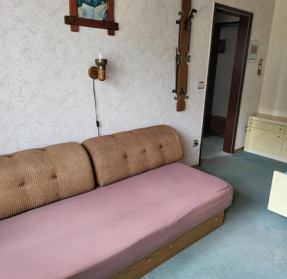 标准间, Zur Schanze