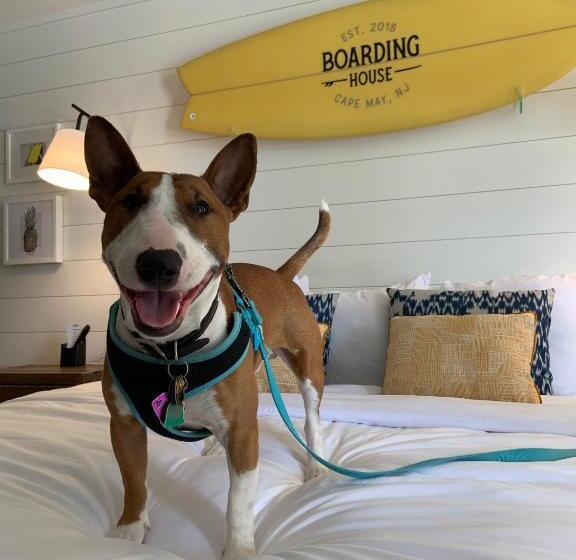 标准间, Boarding House Cape May