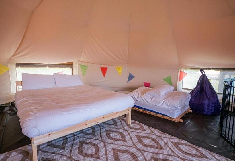 Standard Tent, Yha Eden Project   Hostel