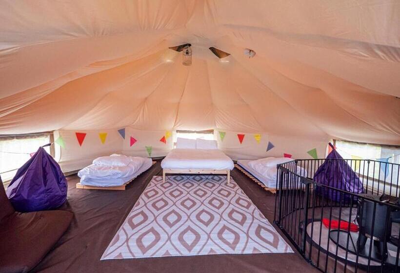 Standard Tent, Yha Eden Project   Hostel