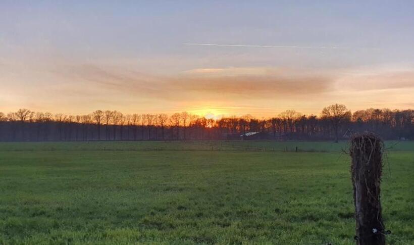 经济房, Restaurant Roerdinkhof