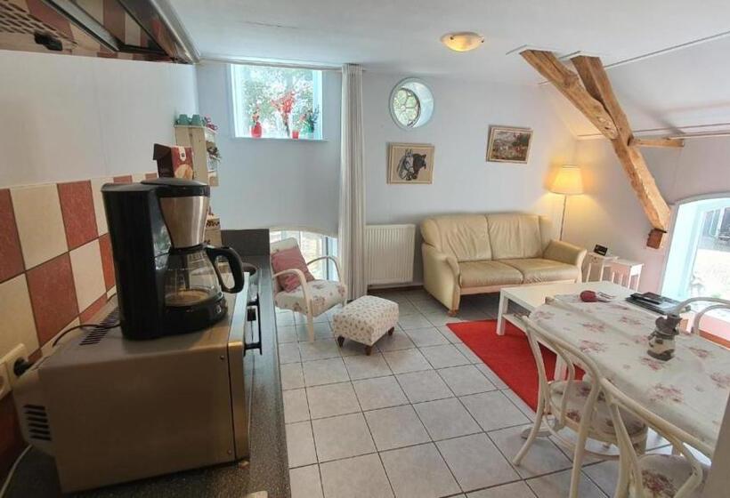 带1个卧室的公寓, Restaurant Roerdinkhof