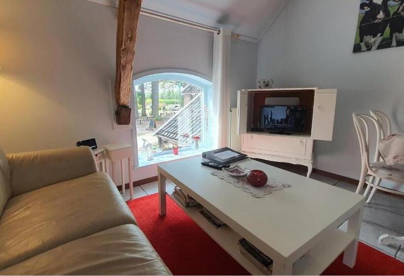 带1个卧室的公寓, Restaurant Roerdinkhof