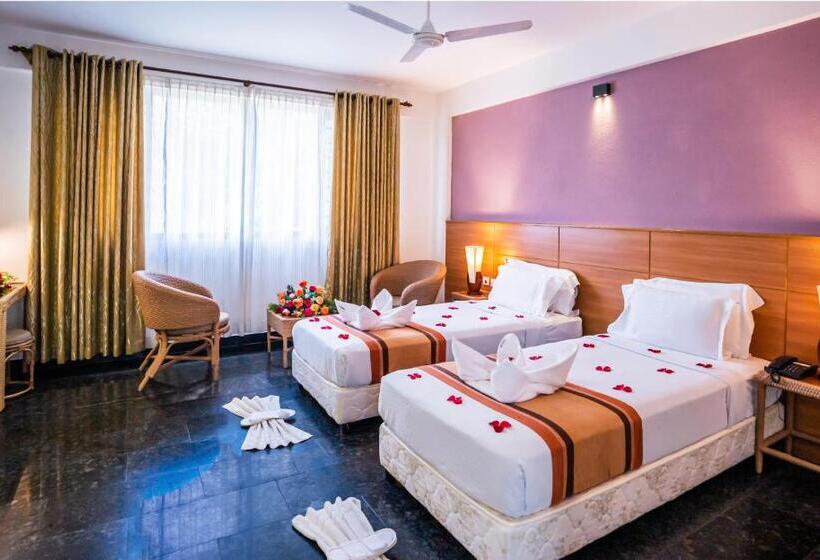 デラックスルーム, Pepper Vine