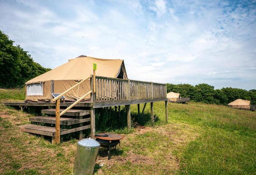Standard Tent, Yha Eden Project   Hostel