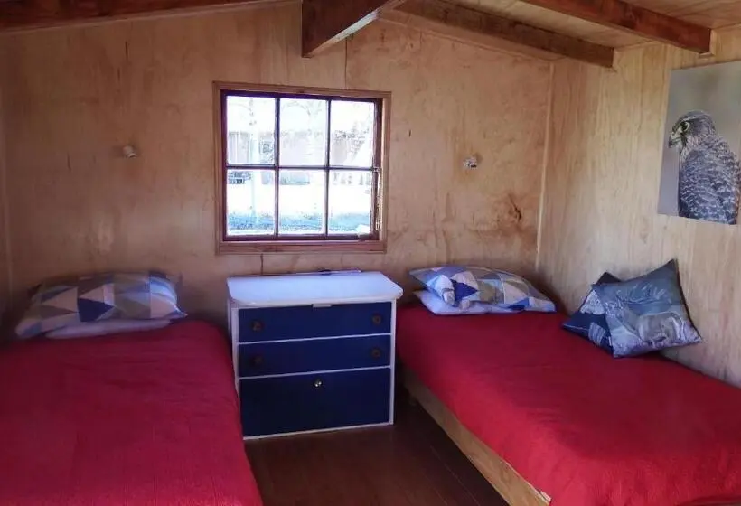 シングルデラックスルーム, Dunstan Downs High Country Sheep Station