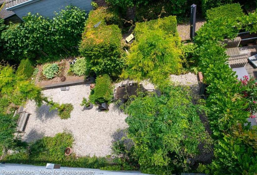 آپارتمان 1 خوابه, De Auw Sjoekelaatfabriek