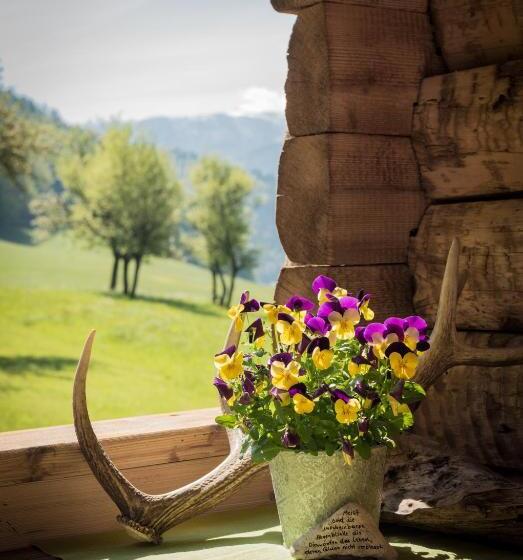 شاليه غرفة نوم واحدة, Hauslhof