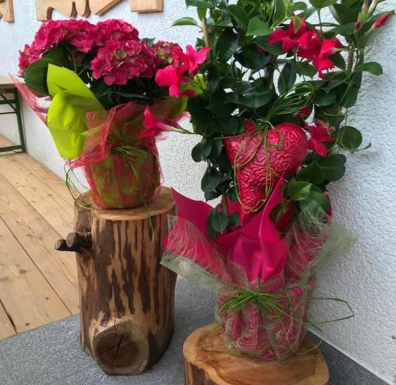 شقة سوبريور غرفة واحدة, Hauslhof