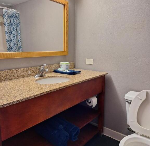 キングサイズベッドのスタンダードルーム, Madison Inn And Suites