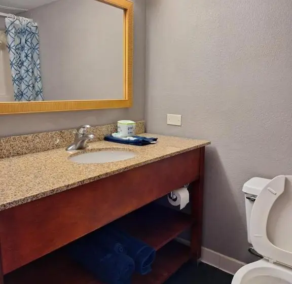 Standard-huone King-vuode, Madison Inn And Suites