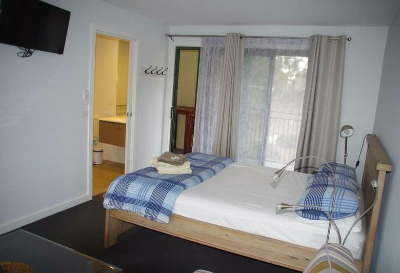 스탠다드 스튜디오, The View On Grossmans