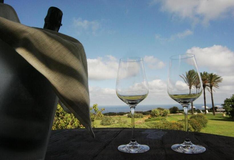 수피리어 스위트, Zubebi