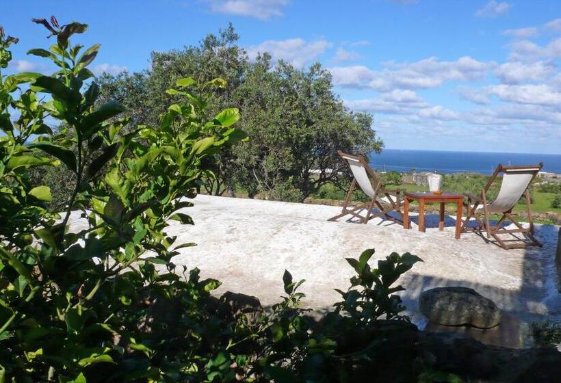 디럭스 스위트, Zubebi